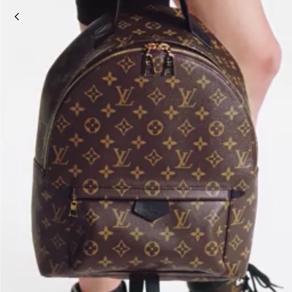 Louis Vuitton backpack